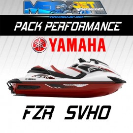 PACK performance FZR SVHO